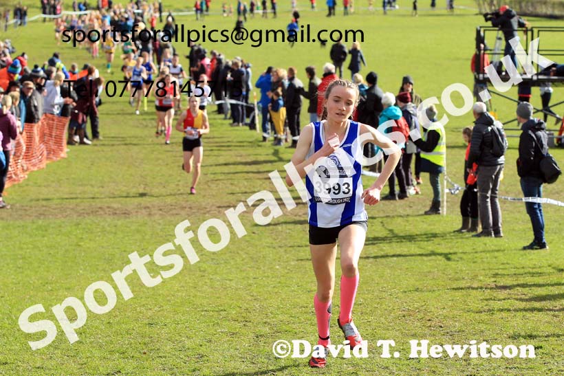 Girls Under-15s 2022 CAU Inter Counties Cross Country, Prestwold Hall, Loughborough.  Photo: David T. Hewitson/Sports for All Pics